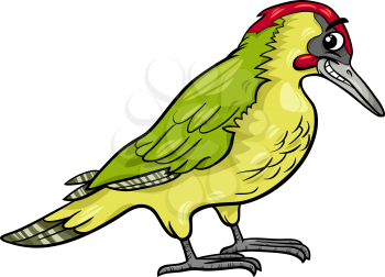 Cartoon Illustration of Funny Yaffle Bird or European Green Woodpecker Animal