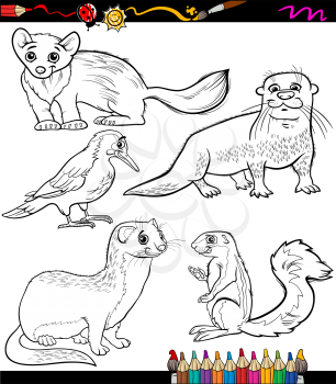 Coloring Book or Page Cartoon Illustration of Black and White Animals Chatacters for Children