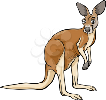 Cartoon Illustration of Funny Kangaroo Animal