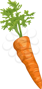 Cartoon Illustration of Carrot Root Vegetable Food Object