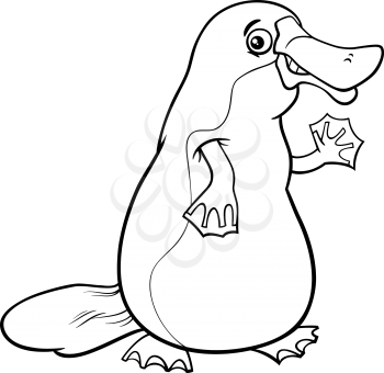 Black and White Cartoon Illustration of Funny Platypus or Duckbill Animal for Coloring Book