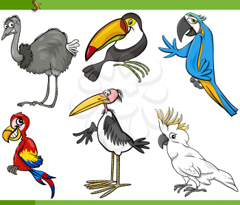 Cartoon Illustration of Funny Exotic Birds Set