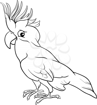 Black and White Cartoon Illustration of Cockatoo Parrot Bird for Coloring Book
