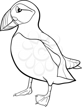 Black and White Cartoon Illustration of Atlantic Puffin Bird for Coloring Book