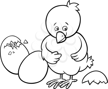 Black and White Cartoon Illustration of Little Chicken or Chick which was Hatched from an Easter Egg for Coloring Book