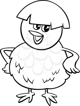 Black and White Cartoon Illustration of Little Chicken which was Hatched from an Egg for Coloring Book