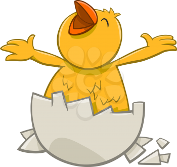 Cartoon Illustration of Little Chick which was Hatched from an Egg