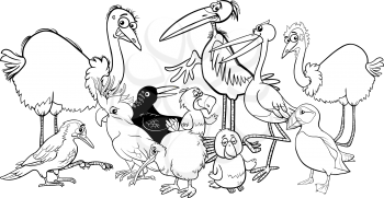 Black and White Cartoon Illustration of Various Birds Animal Characters Group Coloring Book
