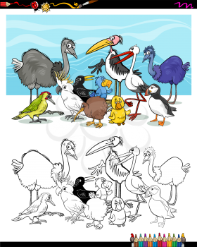 Black and White Cartoon Illustration of Birds Animal Characters for Coloring Book