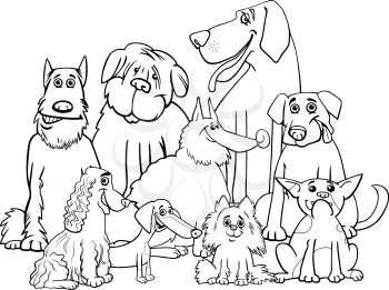 Black and White Cartoon Illustration of Purebred Dogs Animal Characters Group Coloring Book