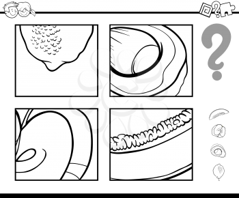 Black and White Cartoon Illustration of Educational Activity Task of Guessing Fruits for Children Coloring Page
