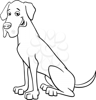 Black and White Cartoon Illustration of Great Dane Purebred Dog