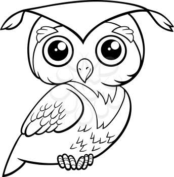 Black and White Cartoon Illustration of Cute Owl Bird Animal Character Coloring Page