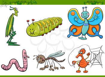 Cartoon Illustration of Insects or Bugs Characters Set
