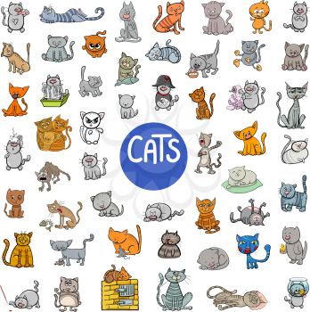 Cartoon Illustration of Cats Animal Characters Big Set