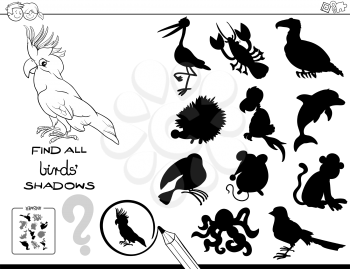 Black and White Cartoon Illustration of Finding All Birds Shadows Educational Activity for Children Coloring Book