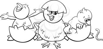 Black and White Cartoon Illustration of Little Chicks Characters Hatching from Eggs Coloring Book