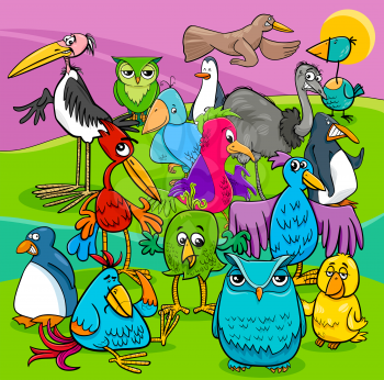 Cartoon Illustration of Birds Animal Characters Group