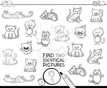 Black and White Cartoon Illustration of Finding Two Identical Pictures Educational Game for Children with Cats and Kitten Animal Characters Coloring Book