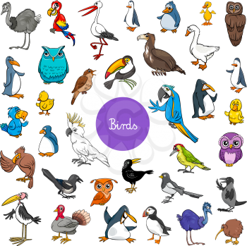 Cartoon Illustration of Birds Animal Characters Big Set