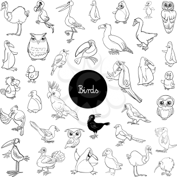 Black and White Cartoon Illustration of Birds Animal Characters Big Set Coloring Book
