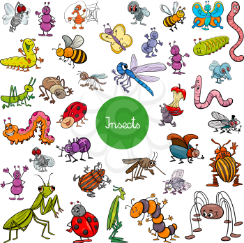 Cartoon Illustration of Insects Animal Characters Large Set