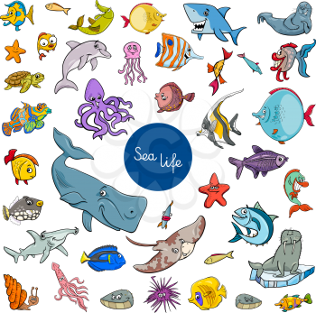 Cartoon Illustration of Sea Life Animal Characters Large Collection