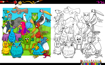 Cartoon Illustration of Birds Characters Group Coloring Book Activity