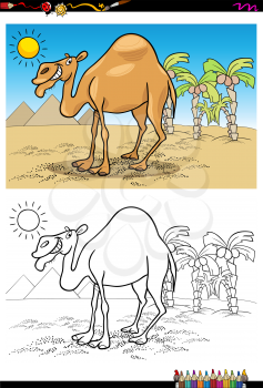 Cartoon Illustration of Camel Animal Character on the Desert Coloring Book Activity
