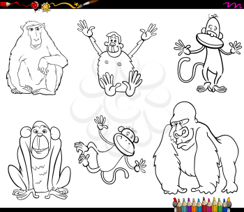 Black and White Coloring Book Cartoon Illustration of Funny Monkeys and Apes Primate Animals Set