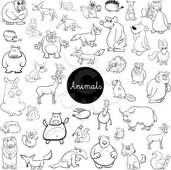 Black and White Cartoon Illustration of Wild Mammals Animal Characters Huge Set Coloring Book