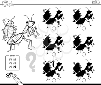 Black and White Cartoon Illustration of Finding the Shadow without Differences Educational Activity for Children with Bugs Animal Characters Coloring Book
