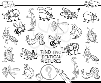 Black and White Cartoon Illustration of Finding Two Identical Pictures Educational Game for Children with Insects Animal Characters Coloring Book