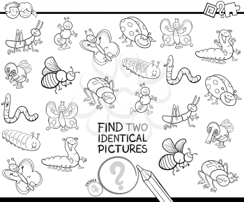 Black and White Cartoon Illustration of Finding Two Identical Pictures Educational Game for Children with Bugs Animal Characters Coloring Book
