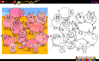 Cartoon Illustration of Pigs Characters Group Coloring Book Activity