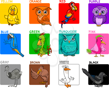 Cartoon Illustration of Basic Colors with Birds Animal Characters Educational Set for Children