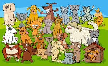 Cartoon Illustration of Dogs and Cats Animal Characters Group