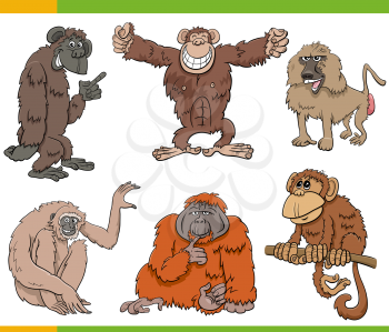 Cartoon illustration of apes and monkeys primate animal characters set