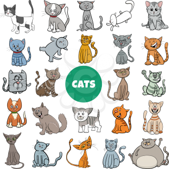 Cartoon Illustration of Cats and Kittens Animal Characters Large Set