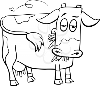 Black and White Cartoon Illustration of Spotted Cow Farm Animal Character Coloring Book