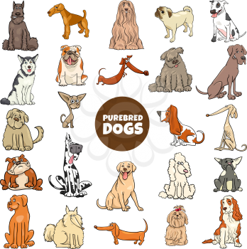 Cartoon Illustration of Purebred Dogs and Puppies Pet Animal Characters Large Set