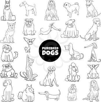 Black and White Cartoon Illustration of Purebred Dogs and Puppies Pet Animal Characters Large Set Coloring Book Page
