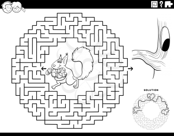 Black and white cartoon illustration of educational maze puzzle game for children with squirrel animal character with accorns and hollow coloring book page