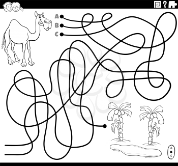 Black and white cartoon illustration of lines maze puzzle game with dromedary camel animal character and oasis coloring book page