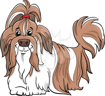Cartoon illustration of Shih Tzu purebred dog animal character