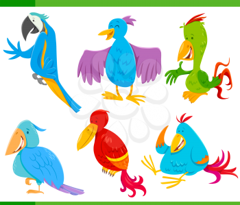 Cartoon Illustration of Funny Colorful Birds Animal Characters Set