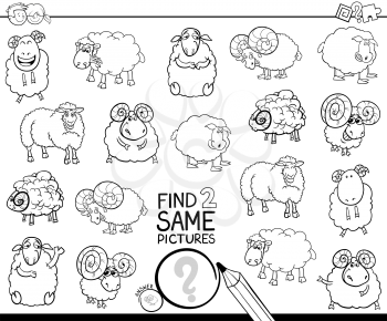 Black and White Cartoon Illustration of Finding Two Same Pictures Educational Activity Game for Kids with Sheep and Rams Animal Characters Coloring Book