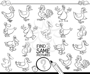 Black and White Cartoon Illustration of Finding Two Same Pictures Educational Activity Game for Kids with Funny Ducks and Chickens Farm Animal Characters Coloring Book
