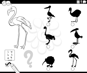 Black and White Cartoon Illustration of Finding the Right Shadow to the Picture Educational Game for Children with Flamingo Bird Animal Character Coloring Book Page