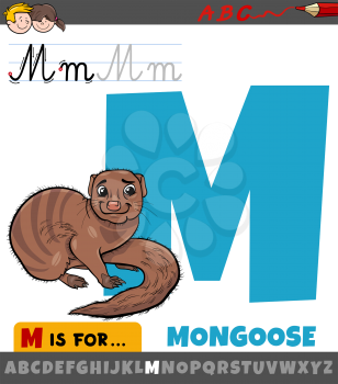 Educational cartoon illustration of letter M from alphabet with mongoose for children 